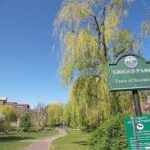 Annual Hebrew Torah Study w/ Rabbi Sam at Griggs Park (in person)