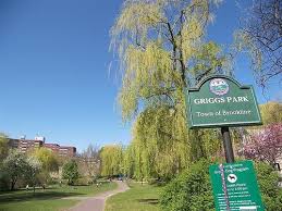 Annual Hebrew Torah Study w/ Rabbi Sam at Griggs Park (in person)