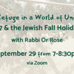 Seeking Refuge in a World of Uncertainty: Psalm 27 & the Jewish Fall Holiday Cycle - Zoom
