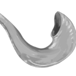 Brookline Community Selichot (in person and online)