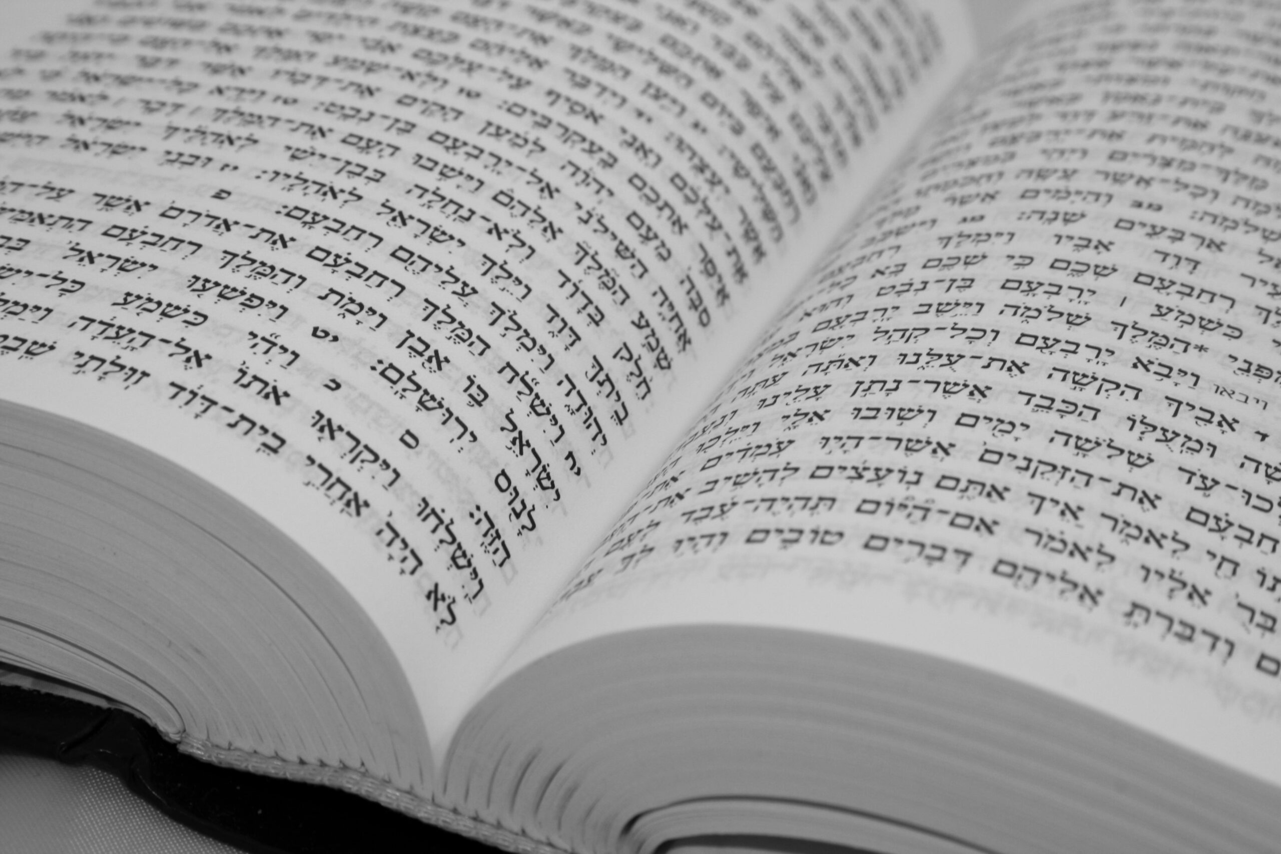 Elul Learning with Dr. Judith Kates (in person or online)