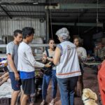 The Politics of Healthcare During Wartime