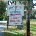 Apple Picking at Honey Pot Hill Orchards (in person)