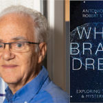 Kiddush Talk: The Science of Dreams with TBZ Member, Bob Stickgold (in person)