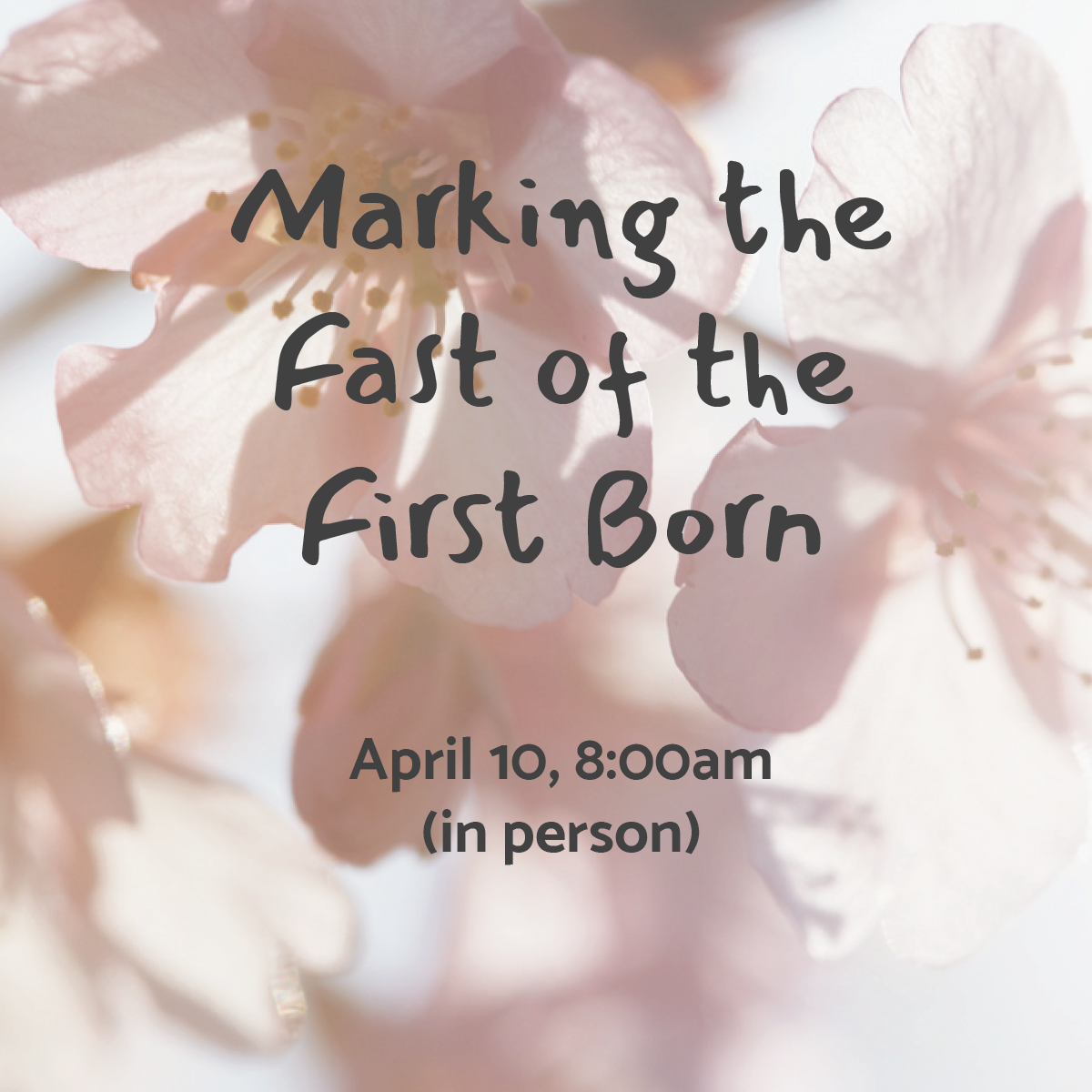 Marking the Fast of the First Born (in person)