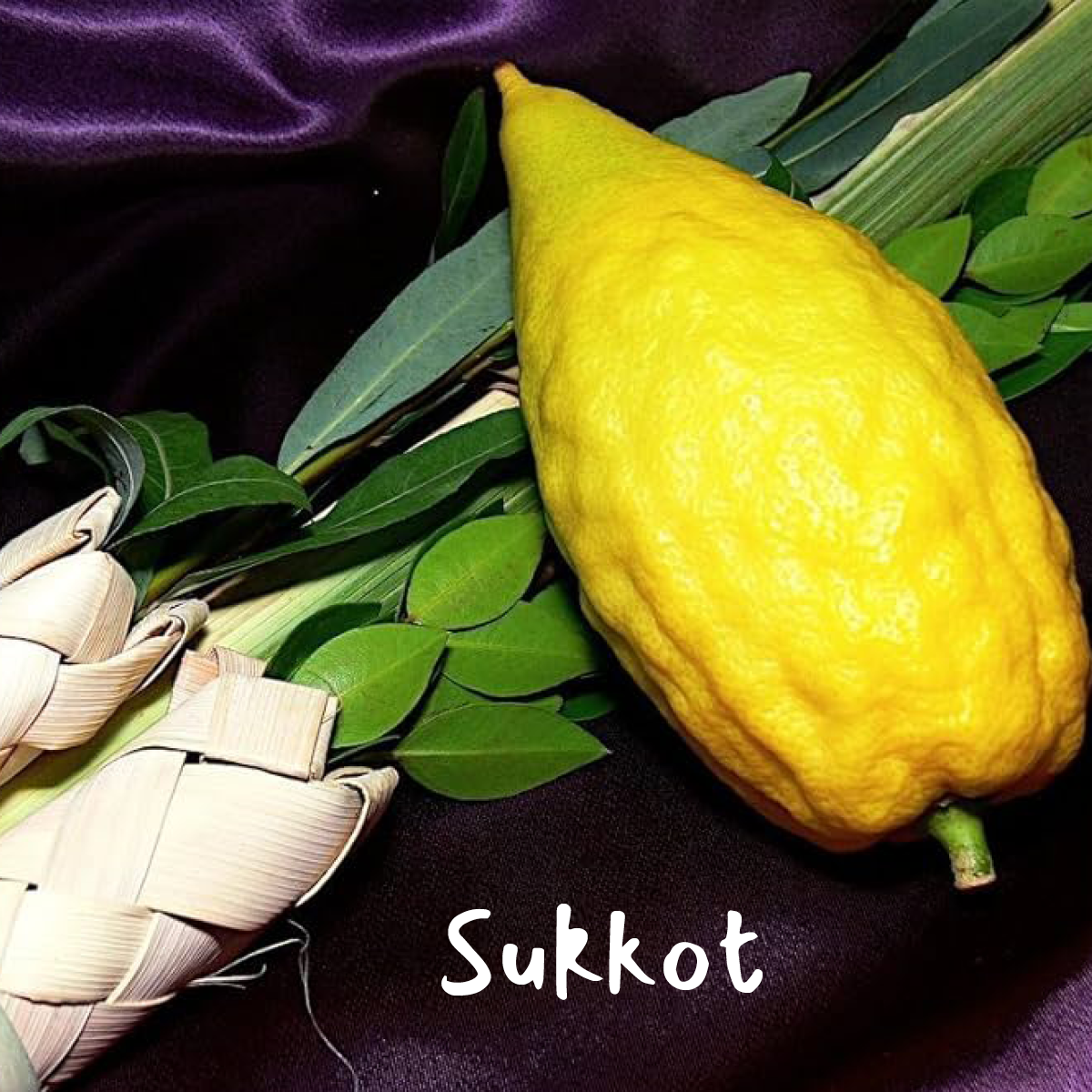 First Day Sukkot Morning Service (in person and online)