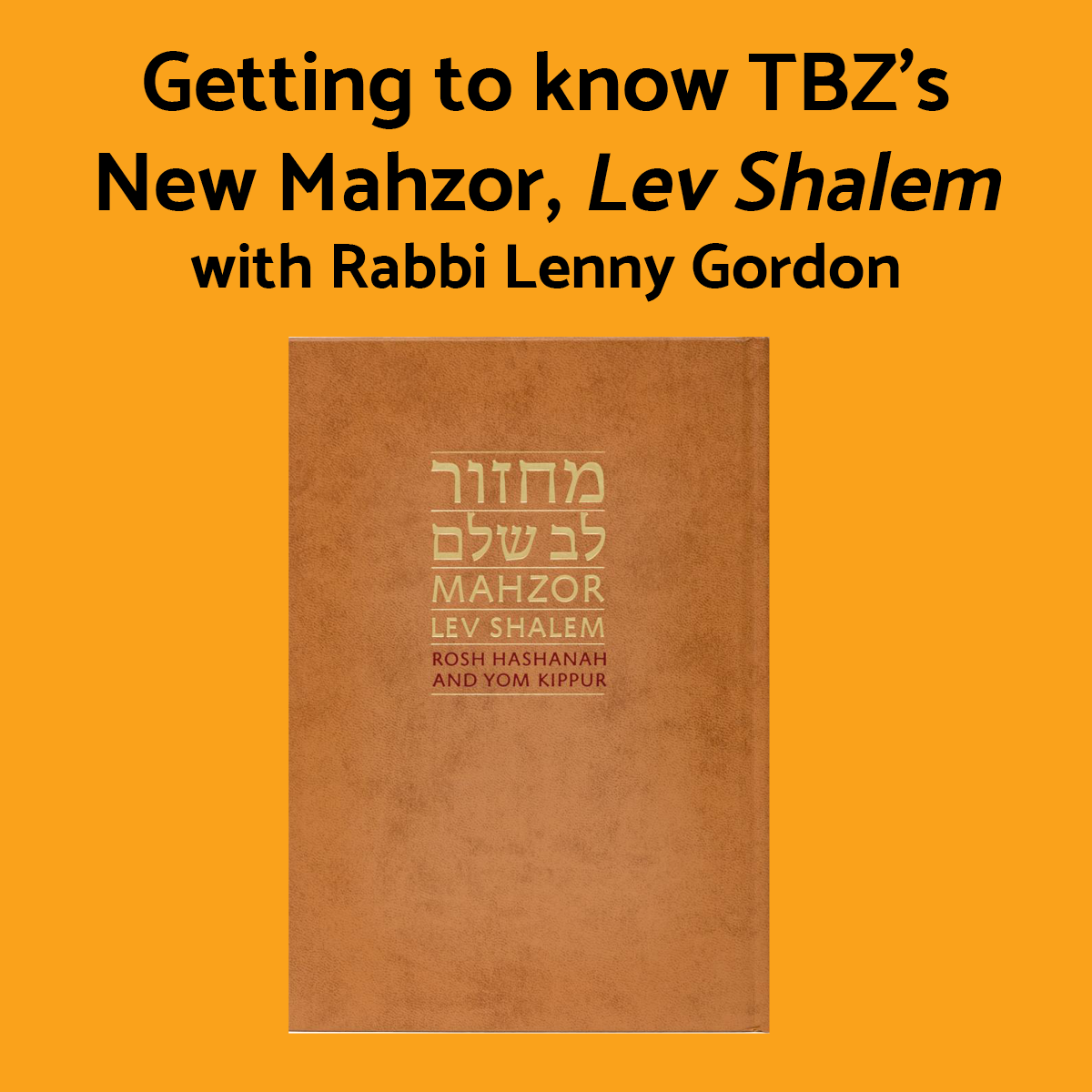 Kiddush Talk: Getting to know TBZ’s New Mahzor, Lev Shalem, with Rabbi Lenny Gordon (in person)