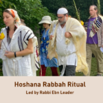 Hoshana Rabbah Ritual with Adamah Boston at Gann Farm, Waltham (in person)